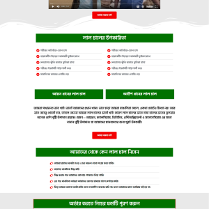 Red Rice Ecommerce Landing Page bdecho