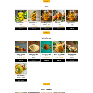 Healthy Product Ecommerce WordPress Website bdecho