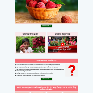 Lichu Ecommerce Landing Page bdecho