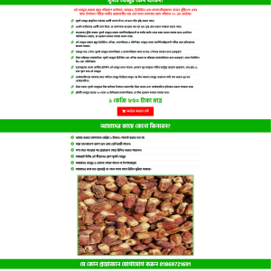 Sugai Khejur Ecommerce Landing Page bdecho