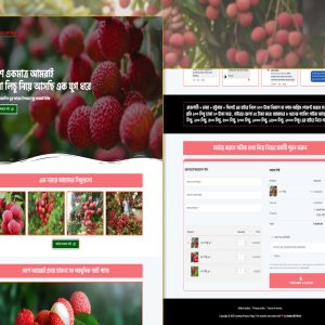 Lichu Ecommerce Landing Page